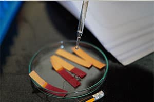 St. Benedict's English Medium School Gallery