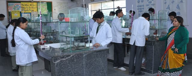 Universal Public School Gallery