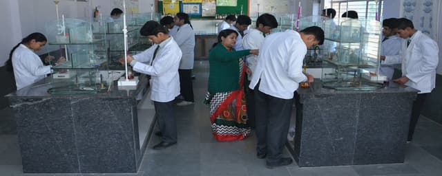 Universal Public School Gallery