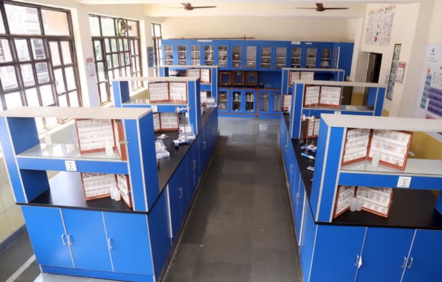 Mount Abu Public School,Sector 5 Gallery