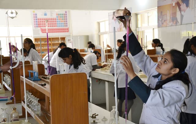 Nosegay Public School Gallery