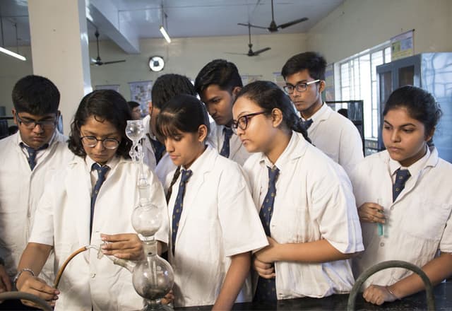 St. Joans School Gallery