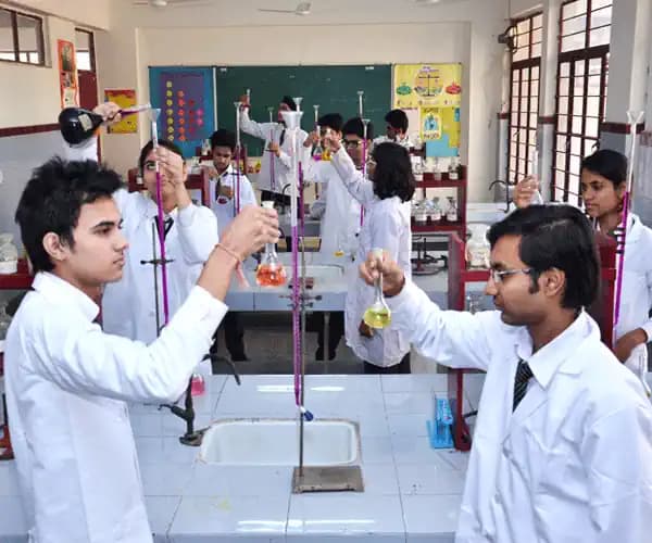 MM Public School Gallery