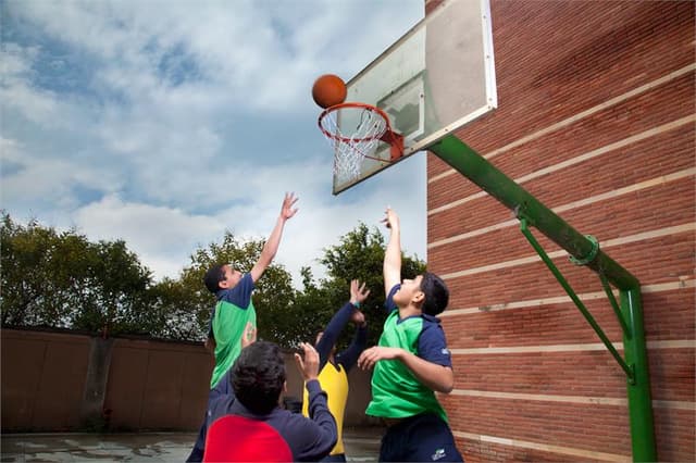 OPG World School Gallery