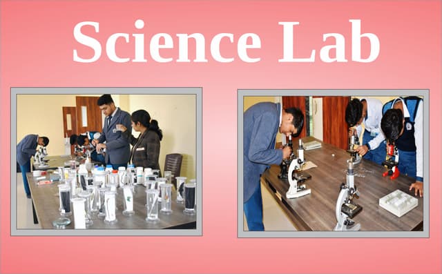 RL International School Gallery