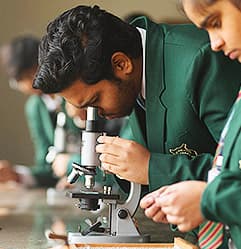 The Shikshiyan School Gallery