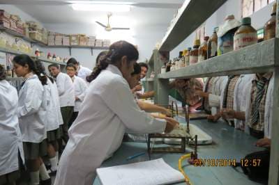 Dreamland School Gallery