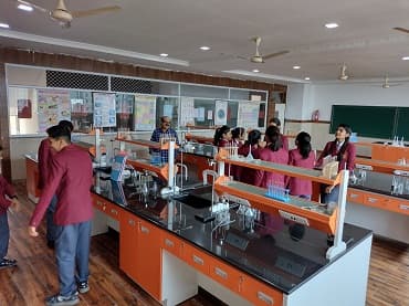 SNBP International School Gallery