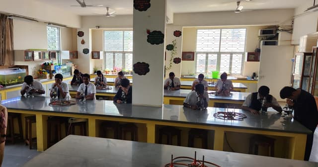 St. John's High School Gallery