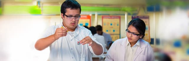 Trio World Academy Gallery