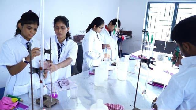 Kalyani Public School Gallery