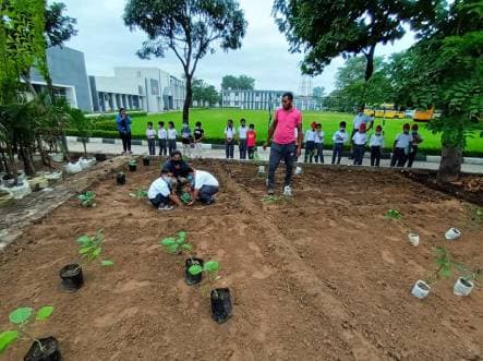 Springfield Public School Gallery