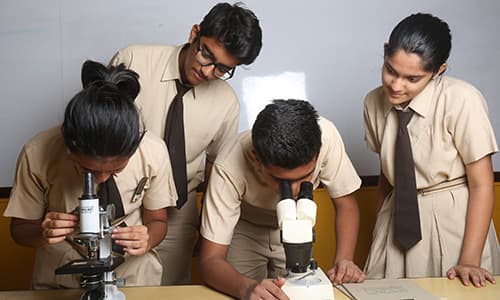 Innisfree House School Gallery