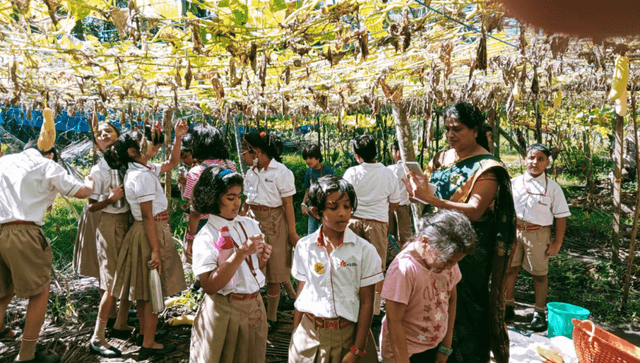 Radcliffe School Gallery