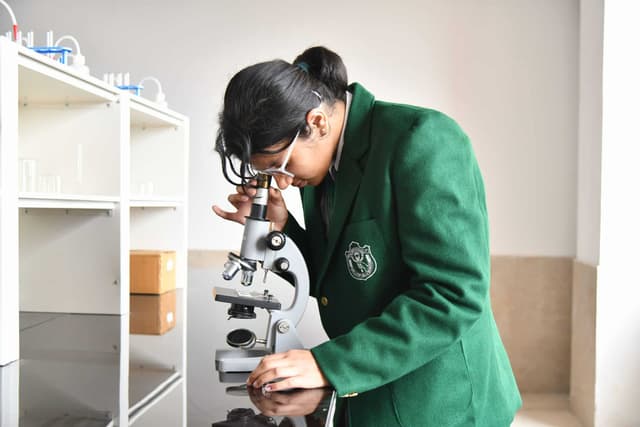 Delhi Public School Gallery