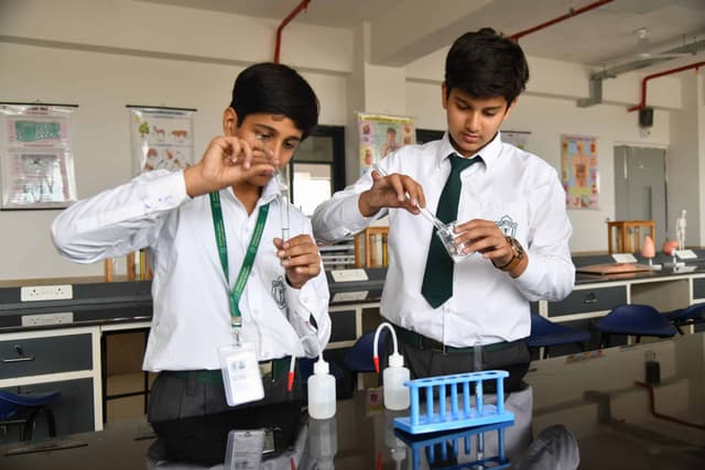 Delhi Public School Gallery