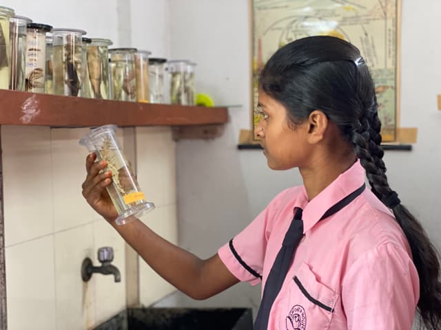 Oxford House School Gallery