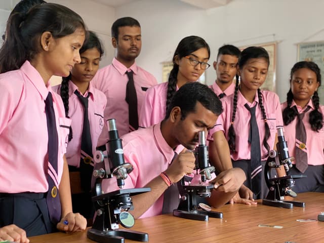 Oxford House School Gallery