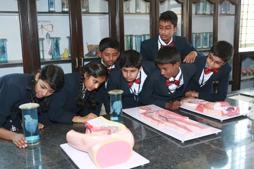 Nightingales English School Gallery