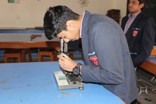 Mahashay Chuni Lal Saraswati Bal Mandir Sr Sec School Gallery