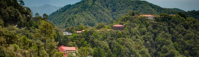 Woodstock School Gallery