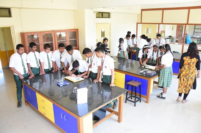 Alard Public School Gallery