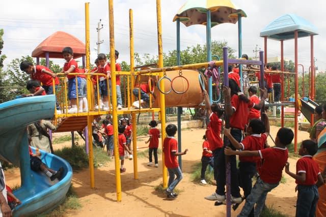 Daffodils International School Gallery