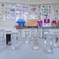 Sri Chaitanya Techno School Gallery