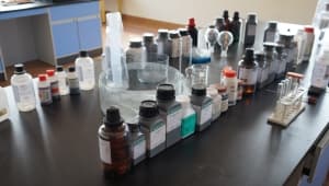 The Great Eastern International Public School Gallery