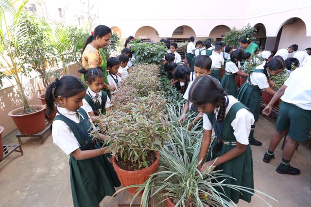 Apollo Public School Gallery