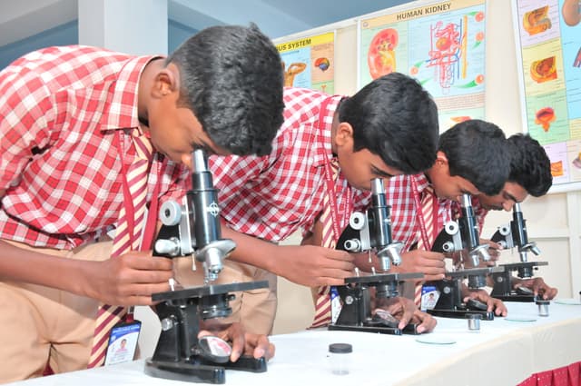 Ananya Public School Gallery