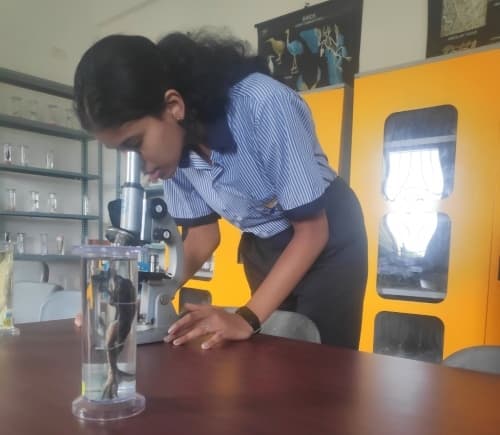 Shri Ram Global School Gallery