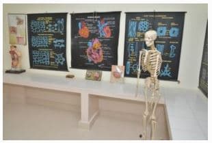 SJR Public School Gallery