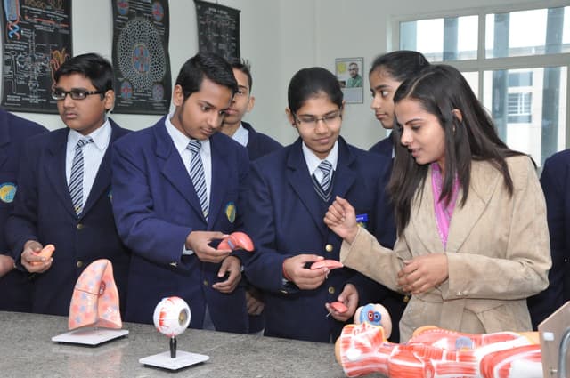 Euro International School Gallery