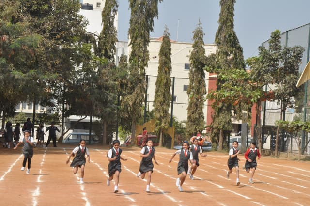 Clarence Public School Gallery