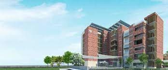 The Blue Bells School Gallery