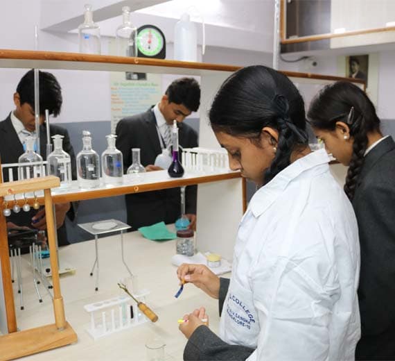 Carmel Public School Gallery