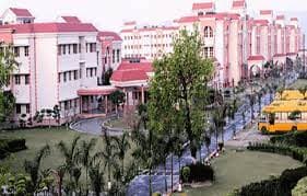 The Pestle Weed School Gallery