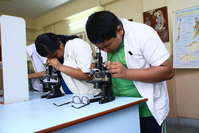 Barasat Indira Gandhi Memorial High School Gallery