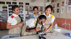 Viva The School Gallery