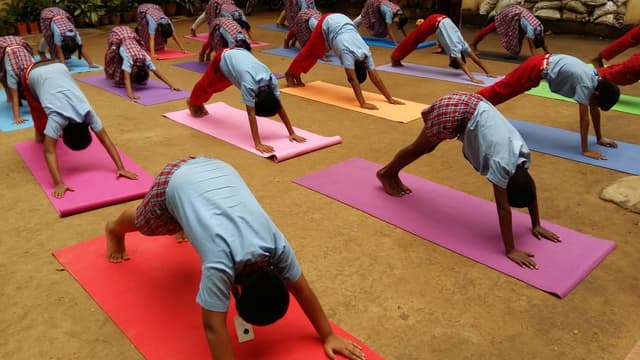 Jayashree Public School Gallery