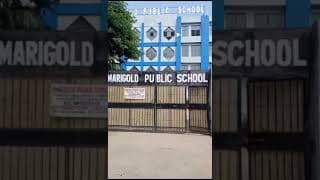 Marigold Public School Videos