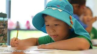 One World International School Videos