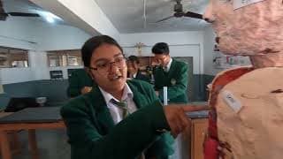 Doon Valley Public School Videos