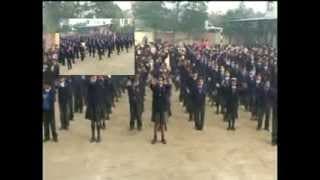 DAV Public School Videos