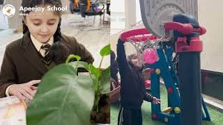 Apeejay School Videos