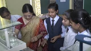 St. Mary's Convent School Videos