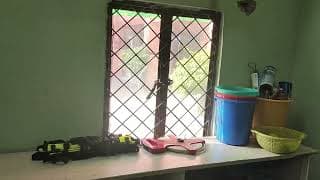 Loreto Convent School Videos