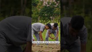 Taurian World School Videos