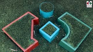 Deens Academy Ecc Road Videos